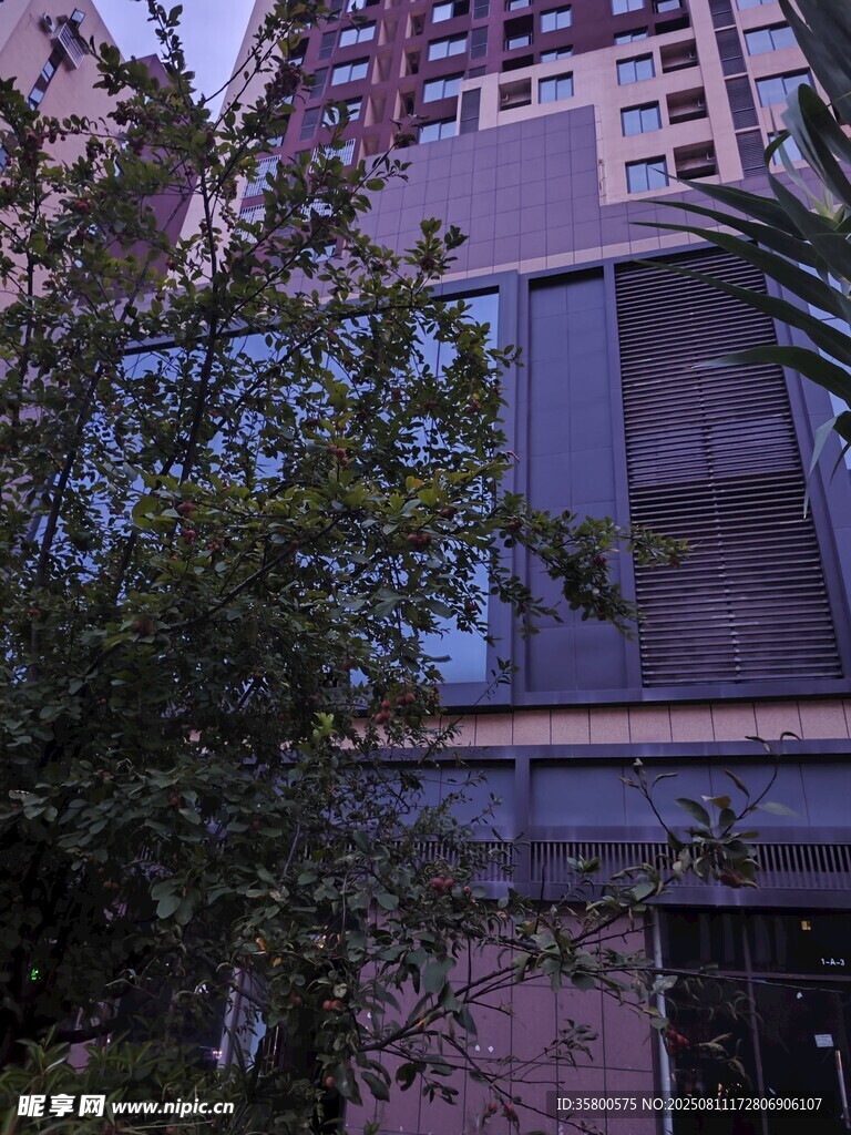 城市中带绿植的建筑外观