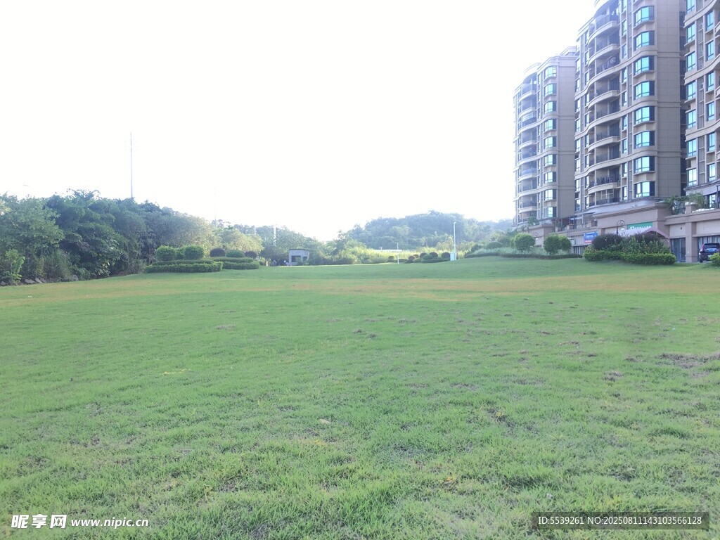 城市旁的大片绿茵草地