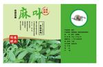 麻叶产品宣传页
