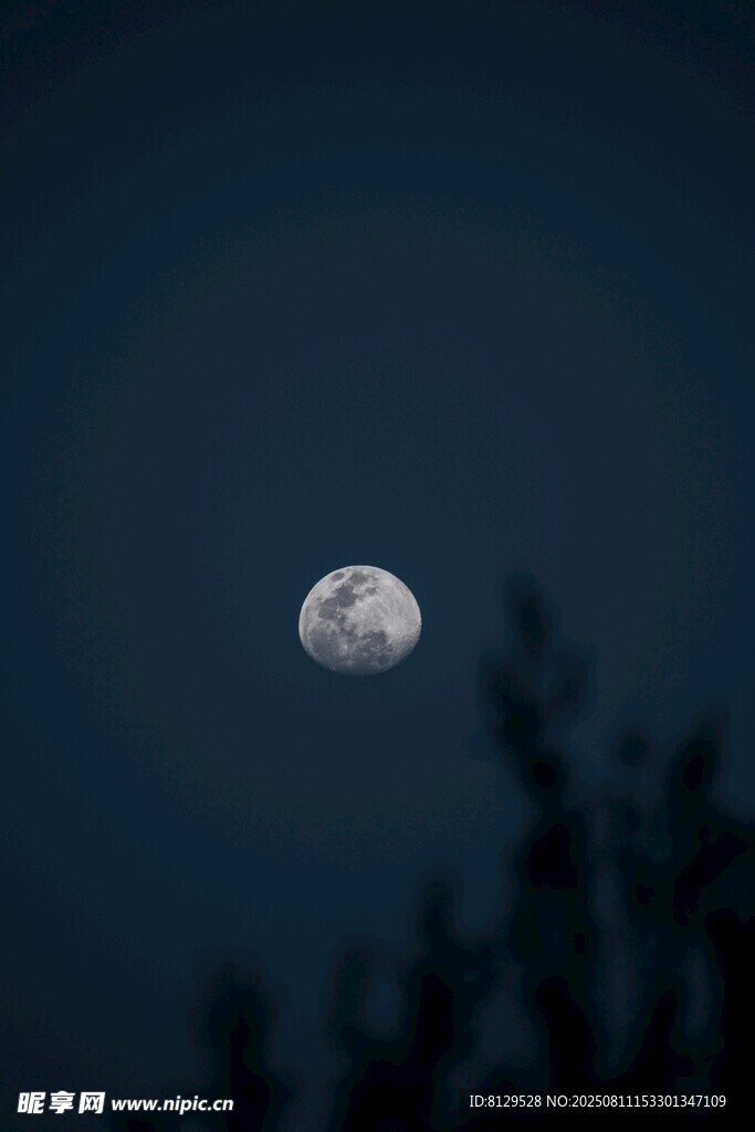 夜空下的皎洁明月