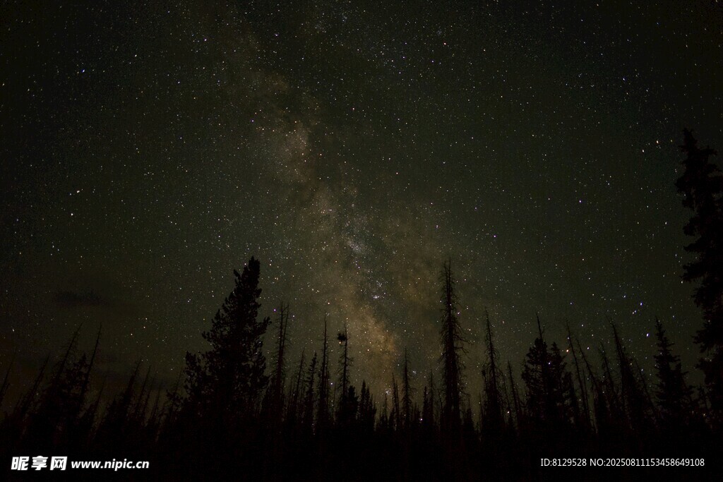 夜空下的森林与璀璨星河