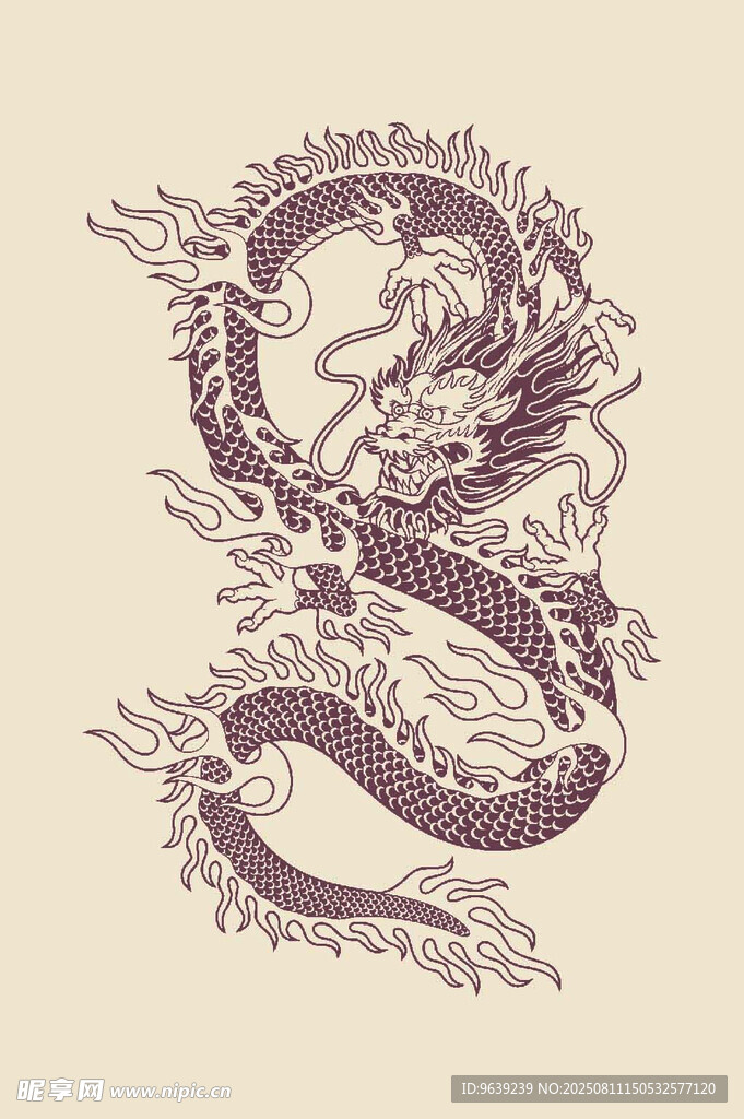 龙图案 