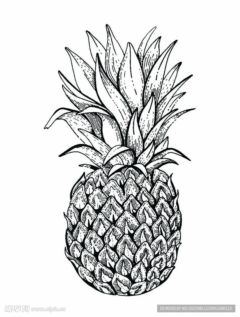 菠萝