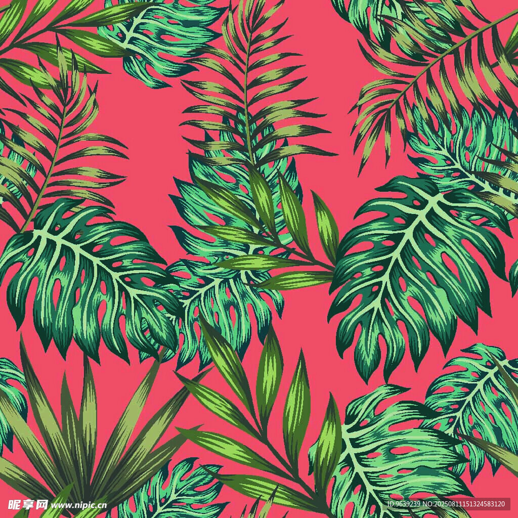  热带植物 