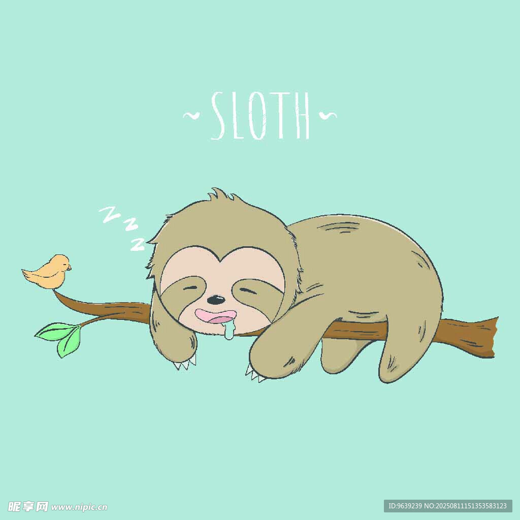树懒