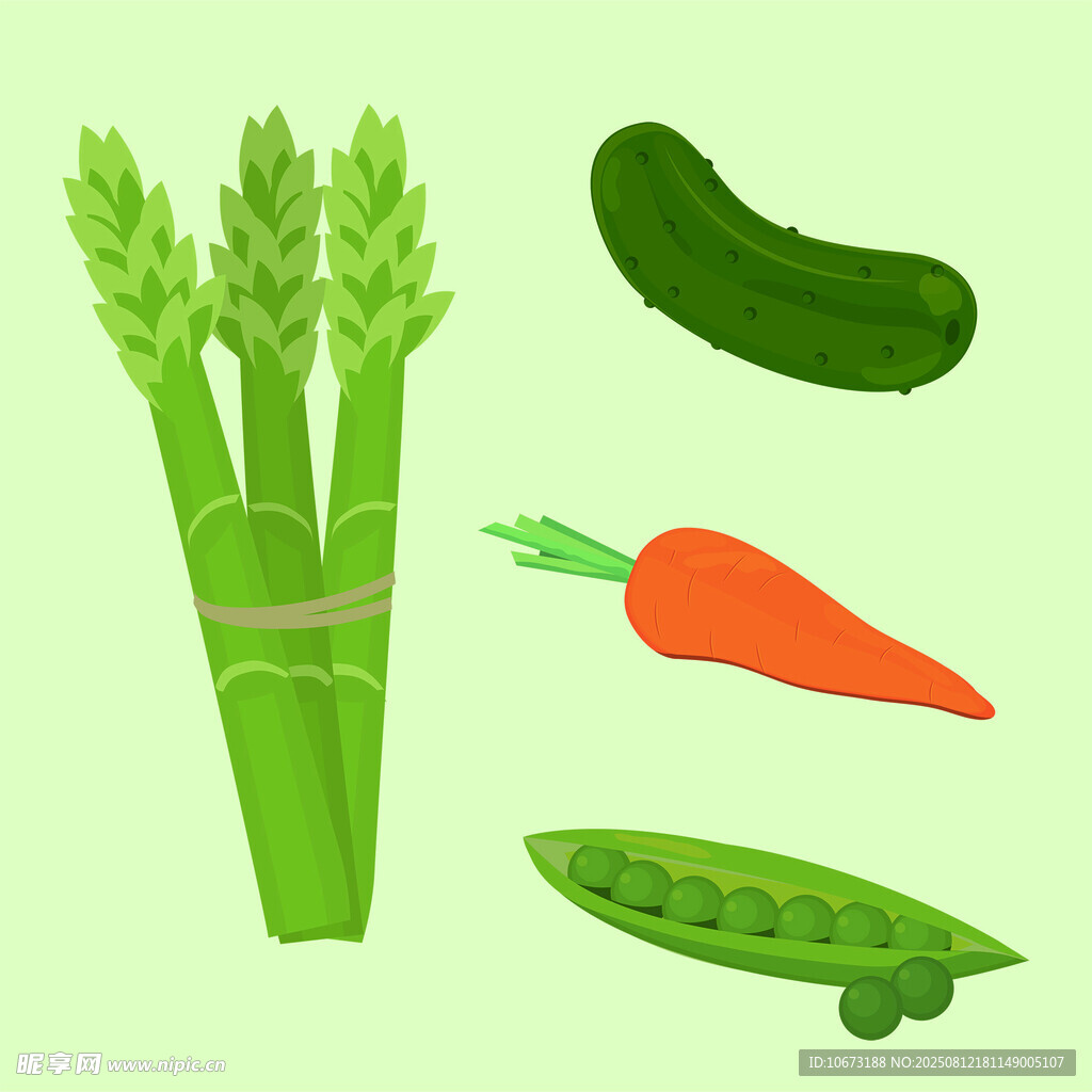 新鲜蔬菜组合