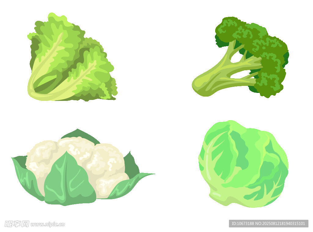 四种新鲜蔬菜插画