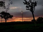 日落时分的田野树木景观