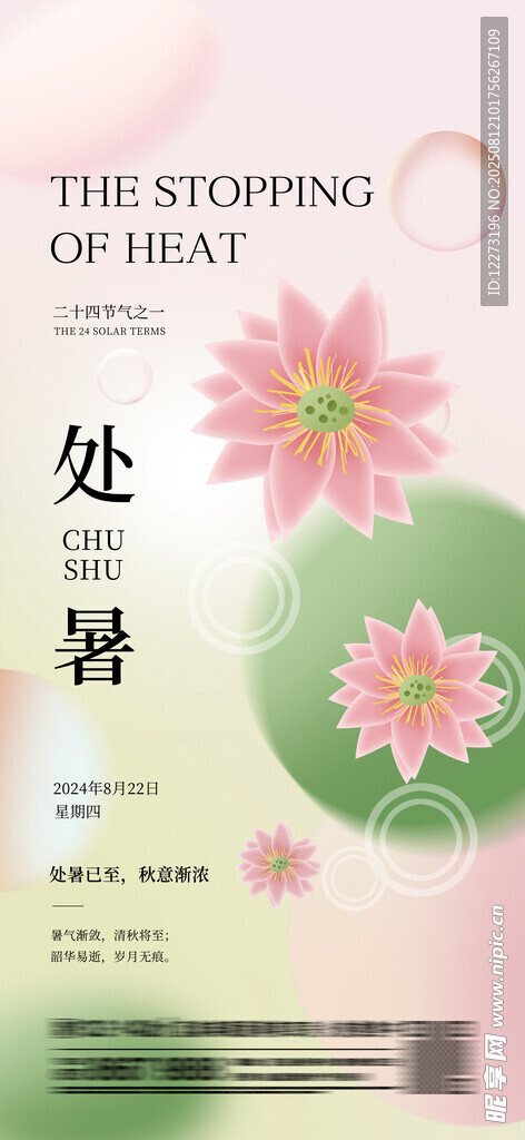 处暑时节的清新荷花书籍
