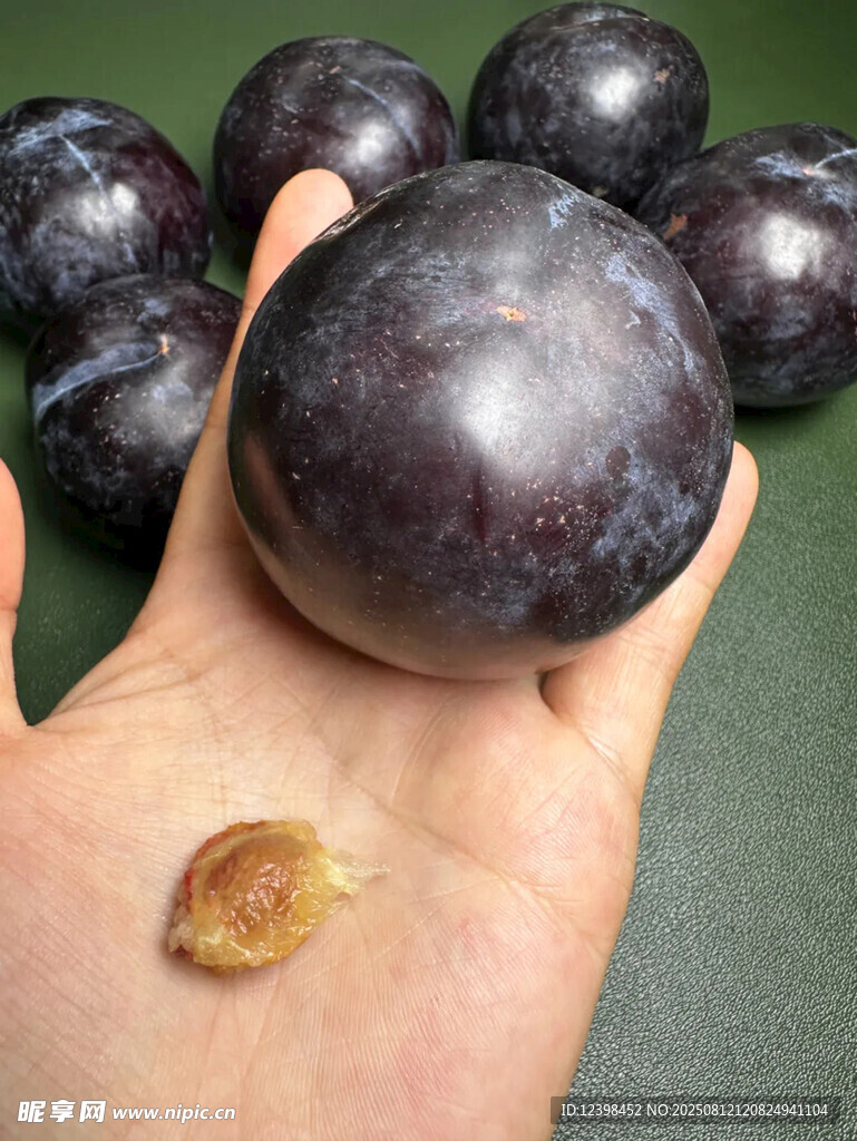 手捧紫黑大李子