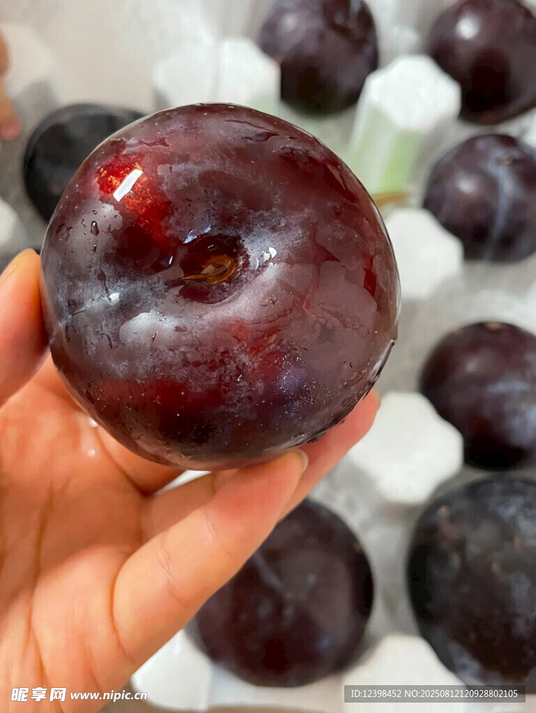 黑布李
