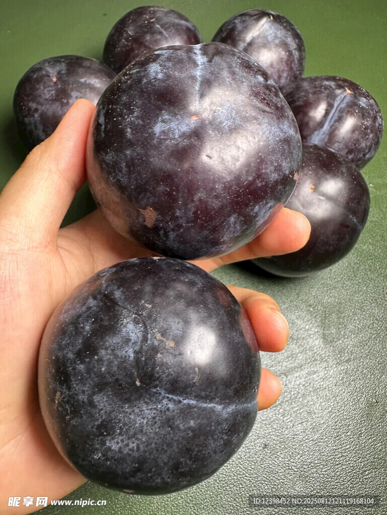 黑布李