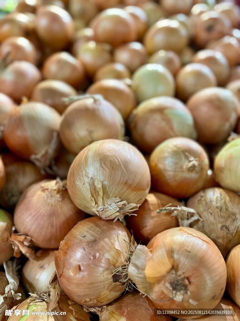 一堆新鲜洋葱