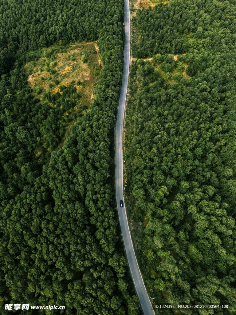 航拍林间蜿蜒公路
