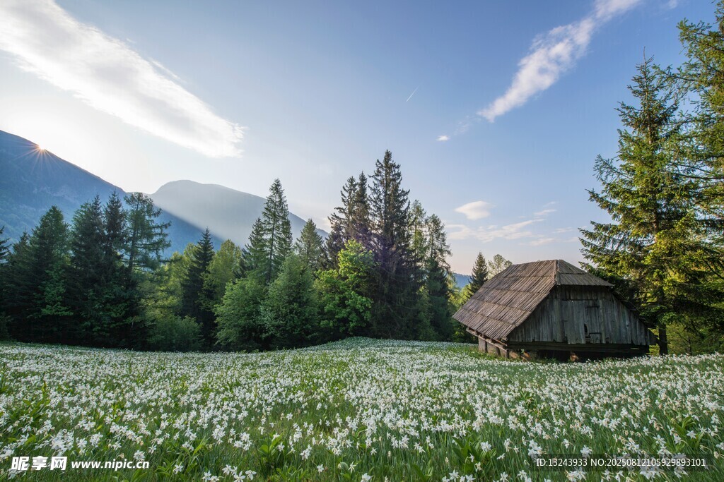 山间草甸木屋的自然美景