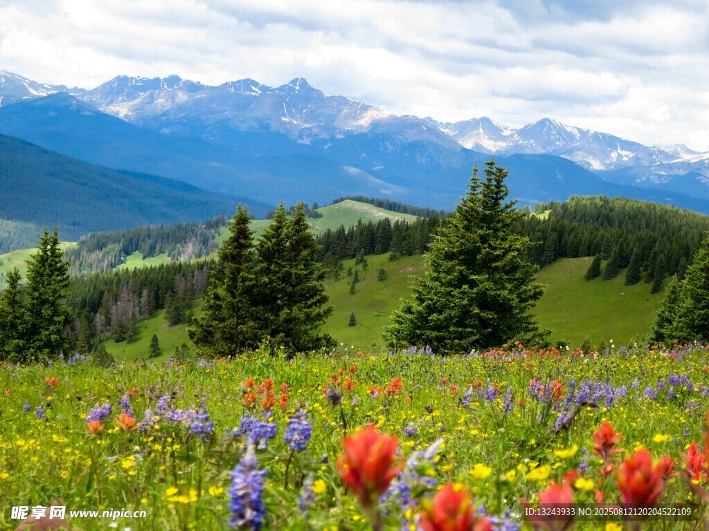 山间花海与远处巍峨山脉