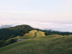 山间草甸云雾缭绕美景