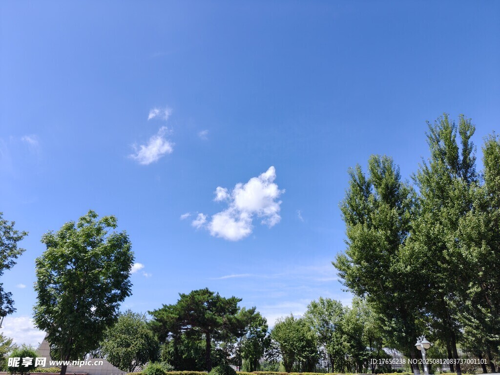 蓝天绿树间的悠然景致