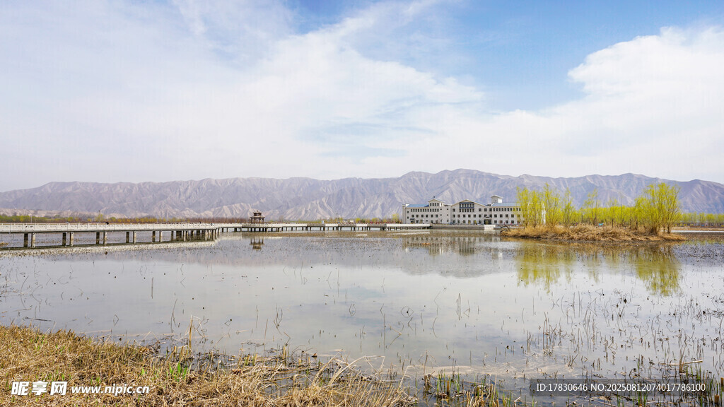 水川黄河湿地公园