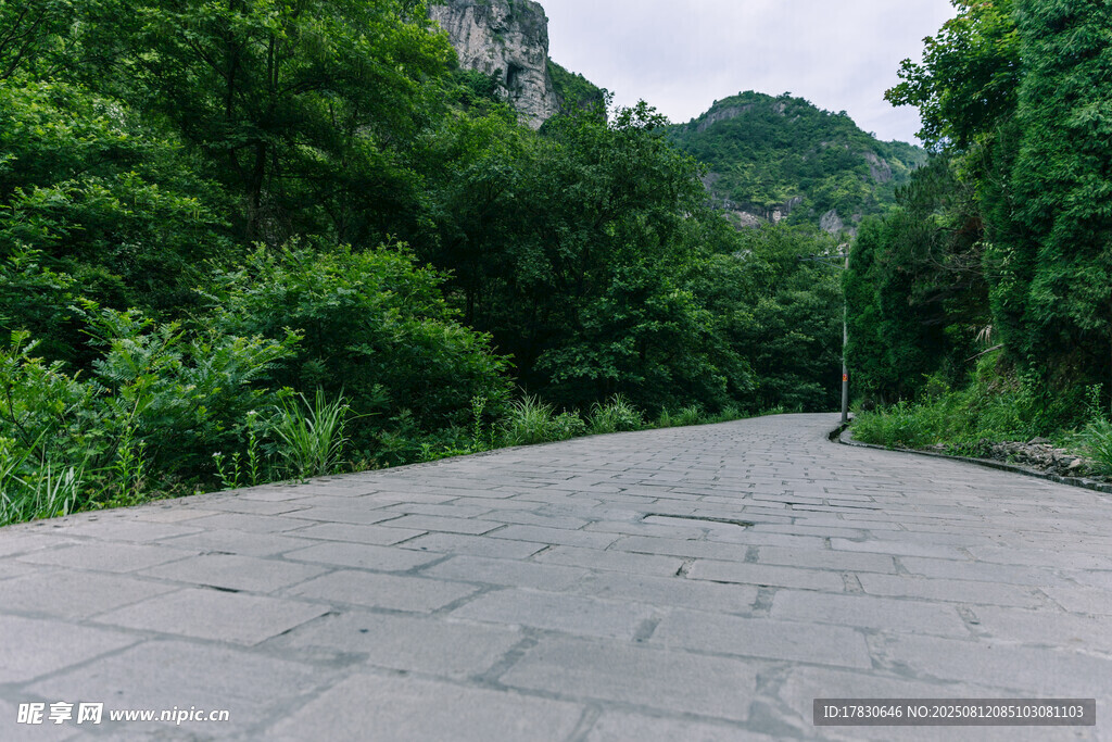 景区内清新公路风景