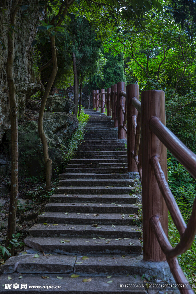 景区内绿植登高山路