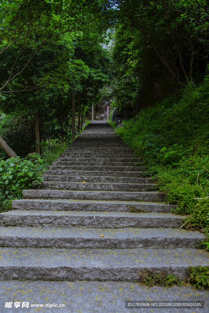 景区内清新自然幽静登高山路