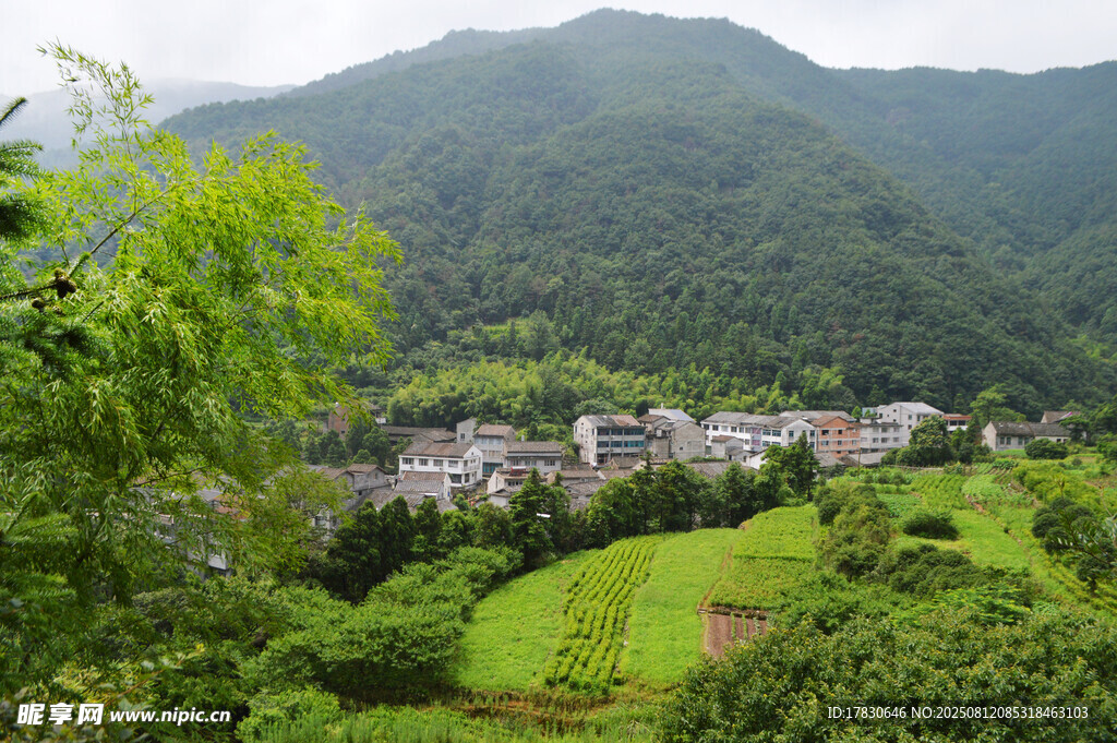 雁荡山风景照片