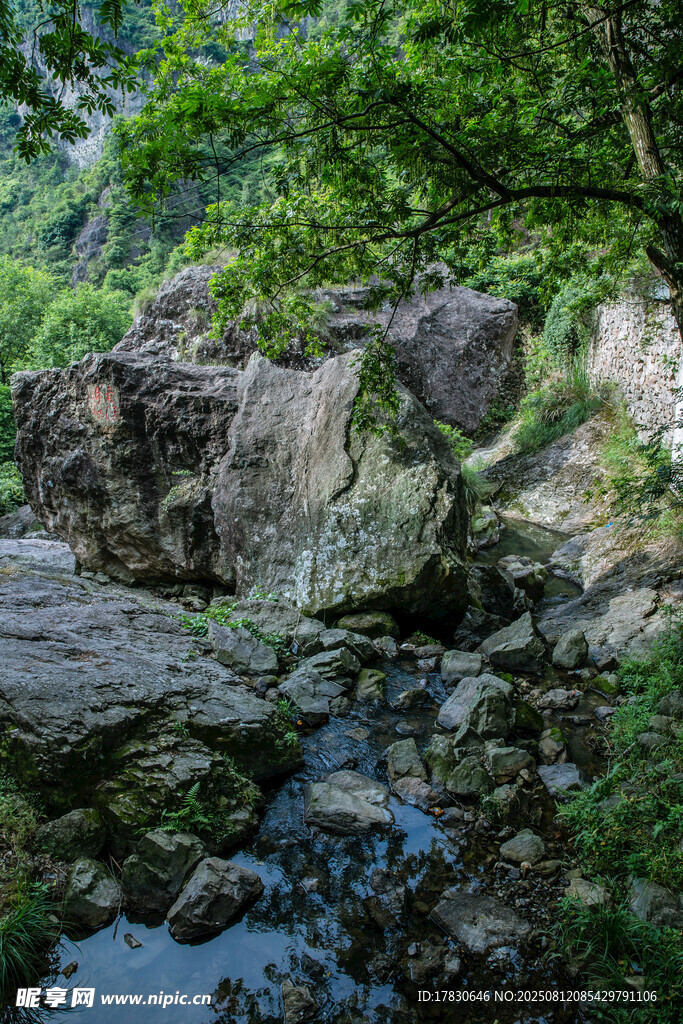 清新自然景区小溪水流风景