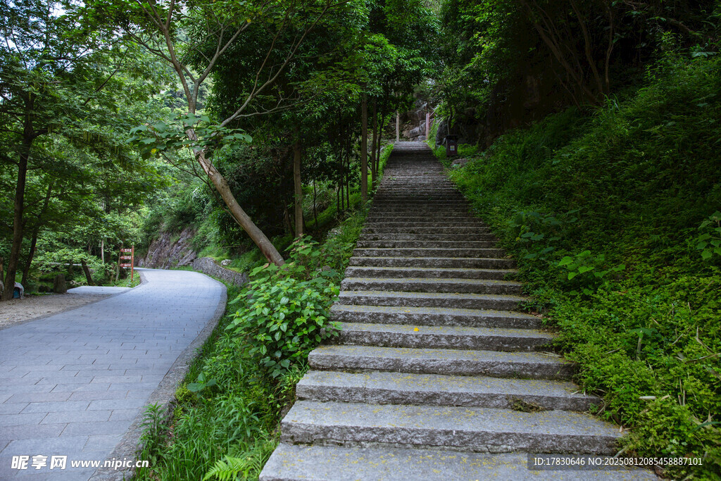景区内清新自然山路和公路