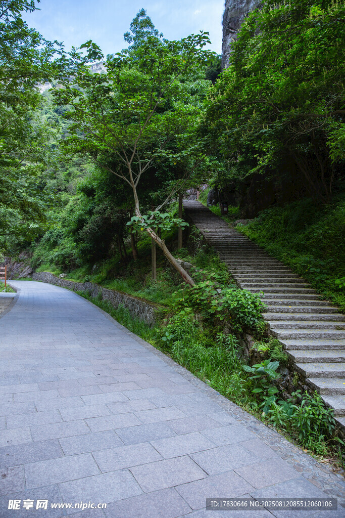 景区内清新自然山路和公路