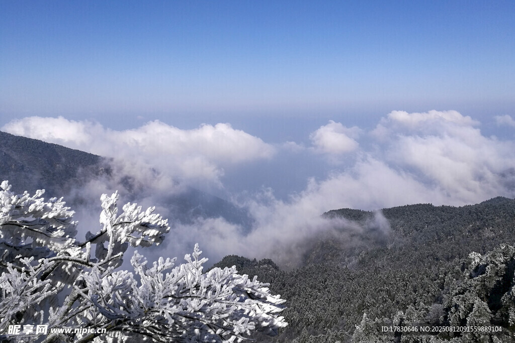 旅游随手拍 庐山雾凇