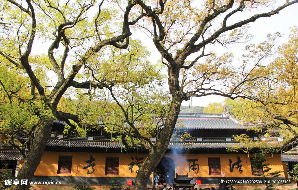 浙江舟山普陀山法雨寺