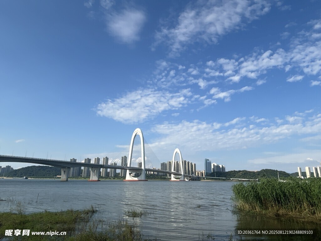 城市江畔桥梁美景