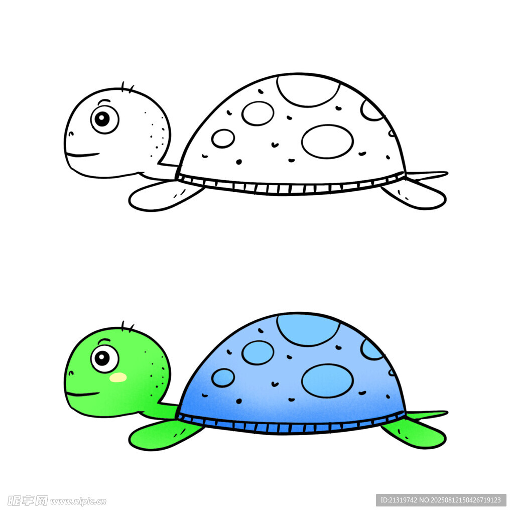 卡通乌龟插画