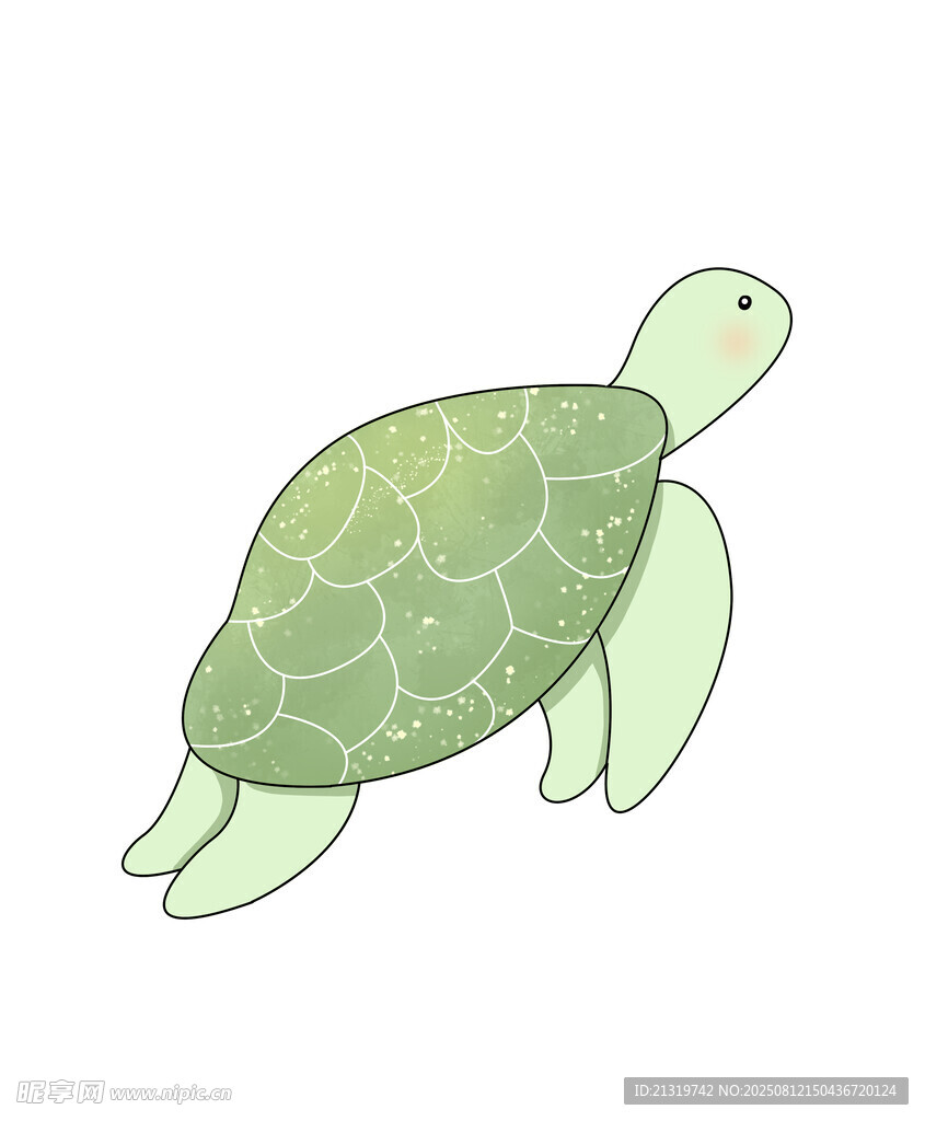 手绘乌龟插画