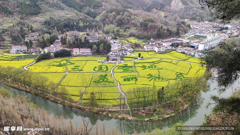 汉中山间梯田油菜花美景