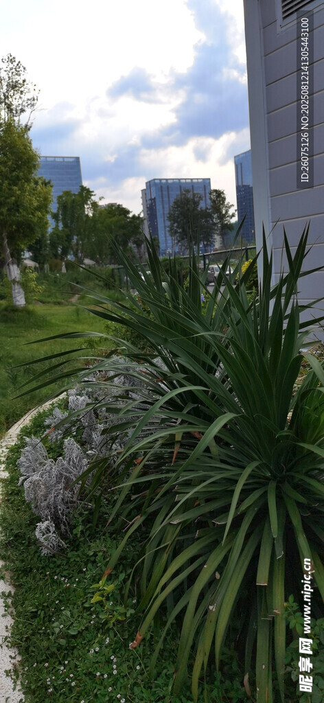 户外绿植环绕的清新景致