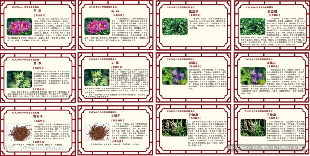 中心小学劳动实践基地