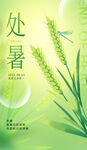 处暑时节麦穗图