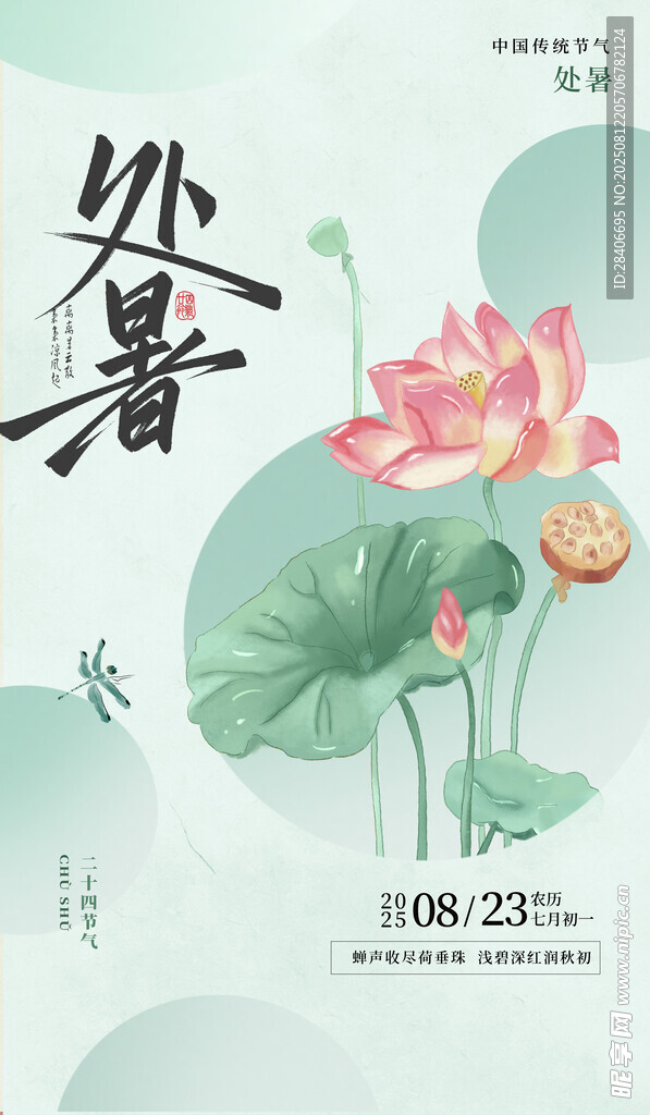 处暑时节荷花绽放海报