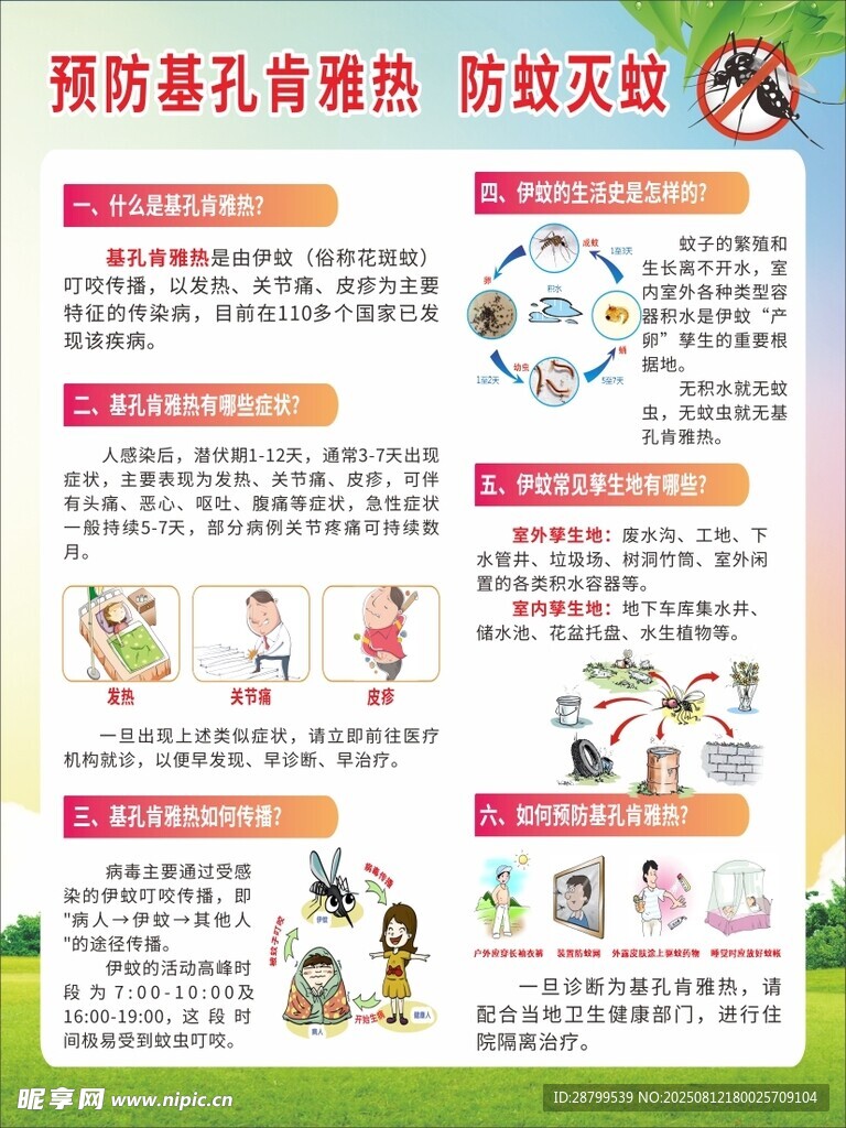 预防基孔肯雅热