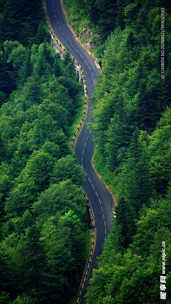 蜿蜒公路穿行翠绿森林