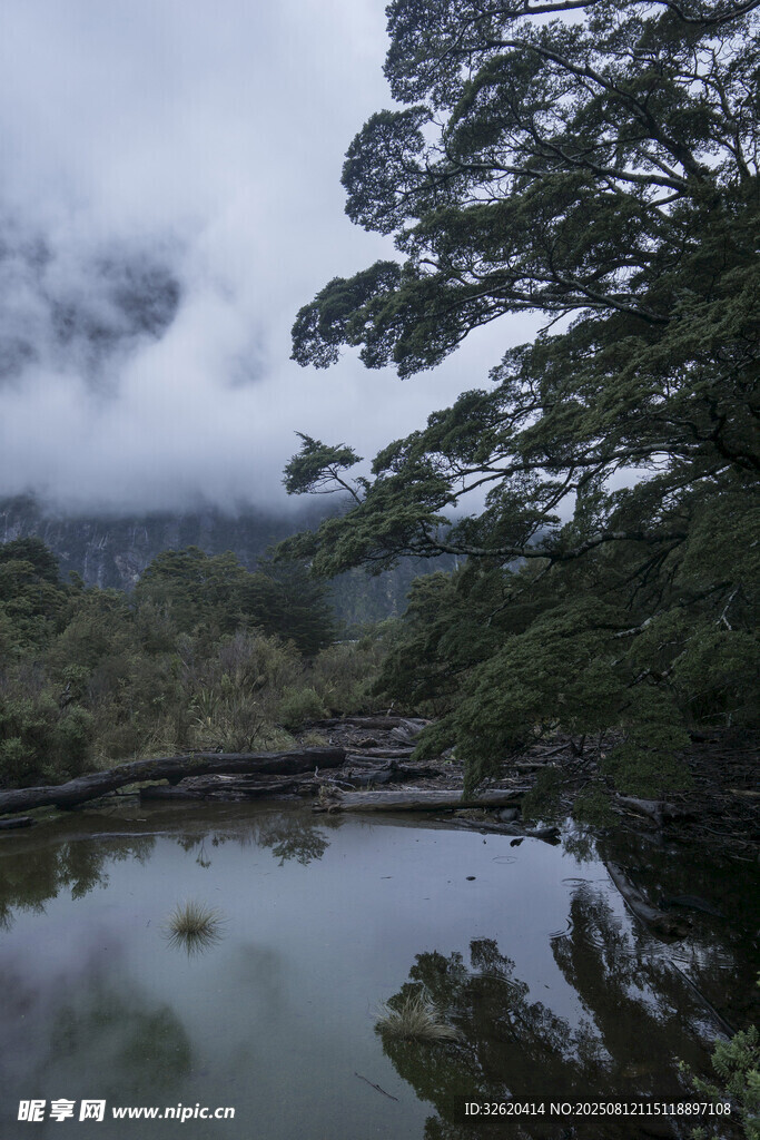 云雾缭绕的静谧山林湖泊