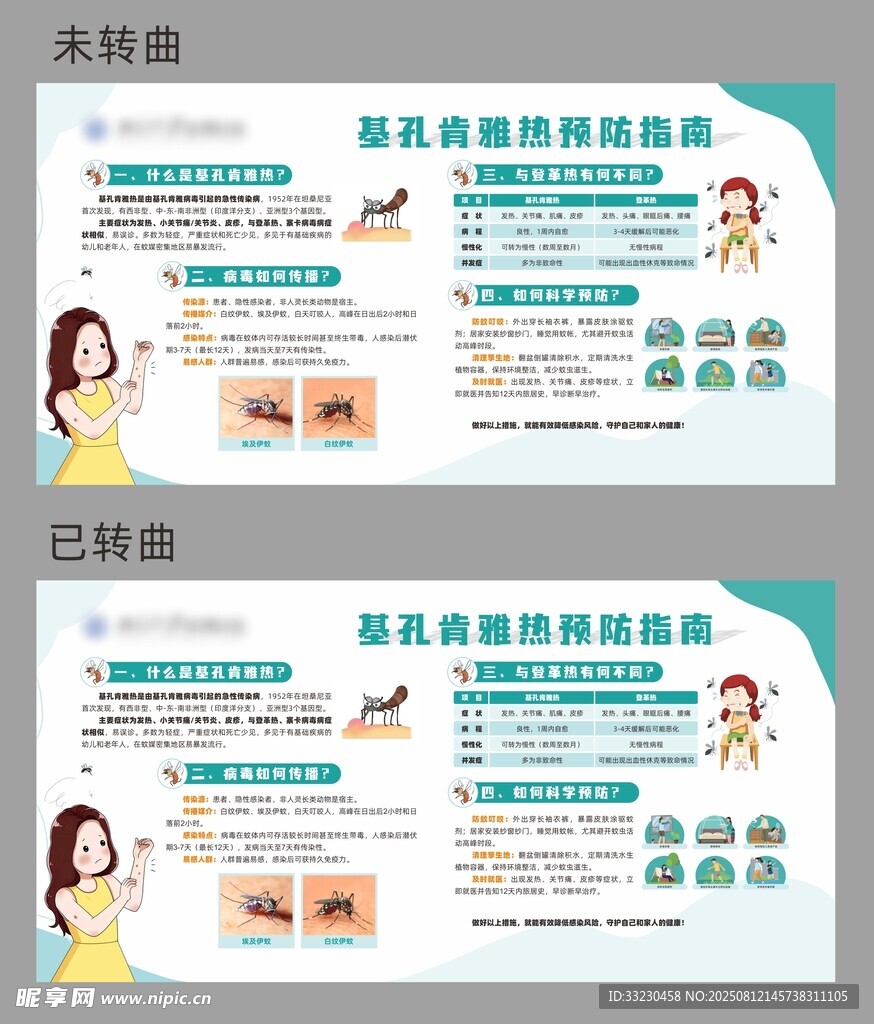 基孔肯雅热  登革热  宣传栏