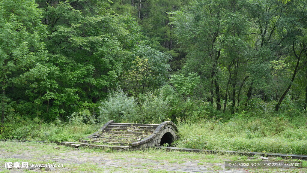 树林石桥美景