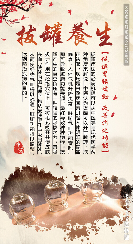 拔罐养生