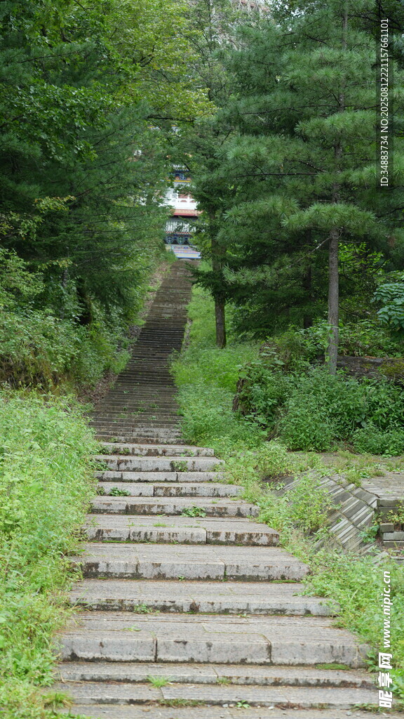 林间台阶