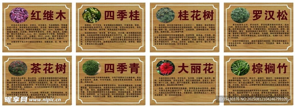 树牌简介