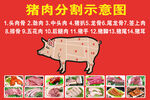 猪肉分割示意图