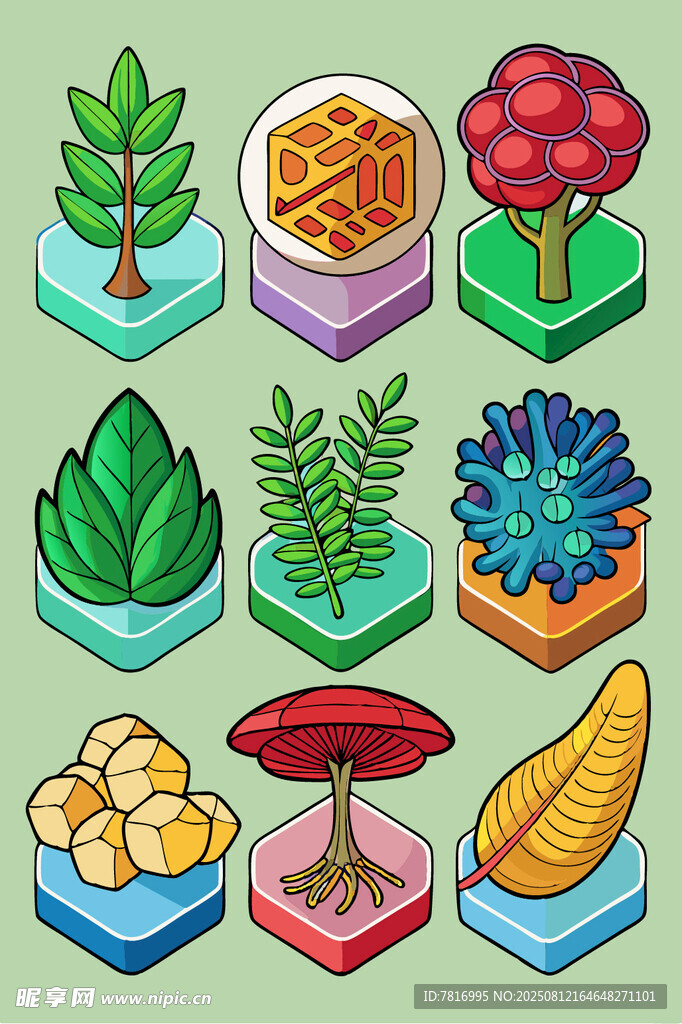 多样植物与菌类立体插画